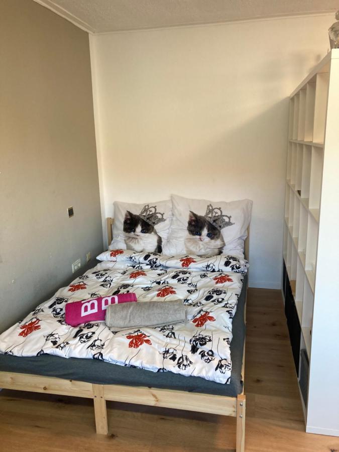 Privatzimmer In Muenchen Zentrum 外观 照片